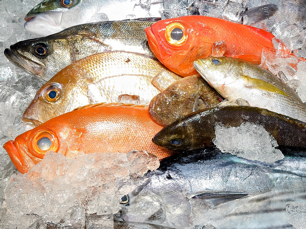 鮮魚